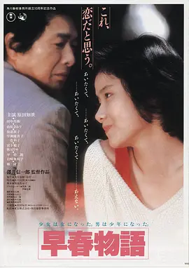 私家影院片源《星际回响》4K海报